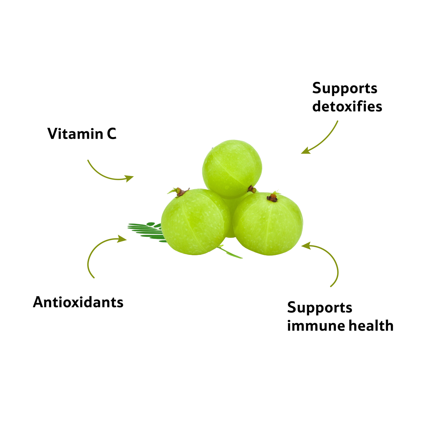 Gooseberry Amla, Prepack 500 g