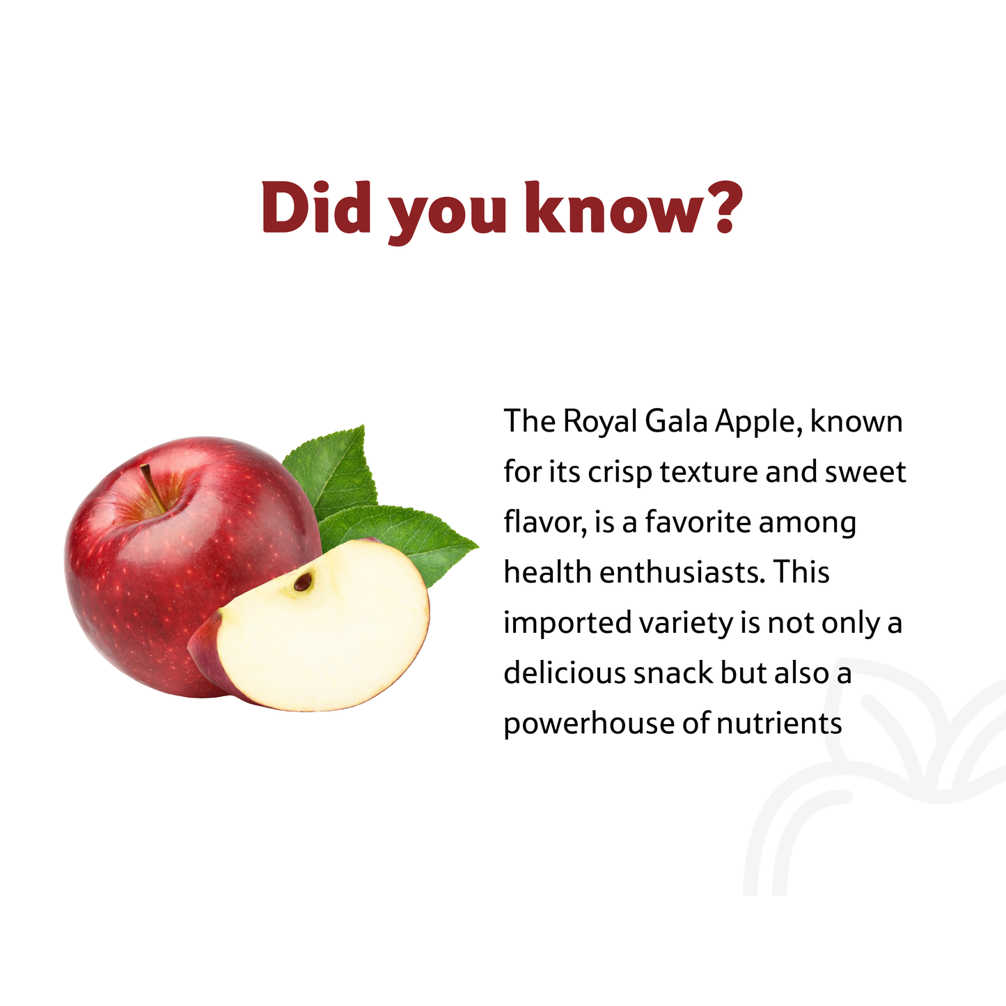 Apples Royal Gala Imported, 950 g