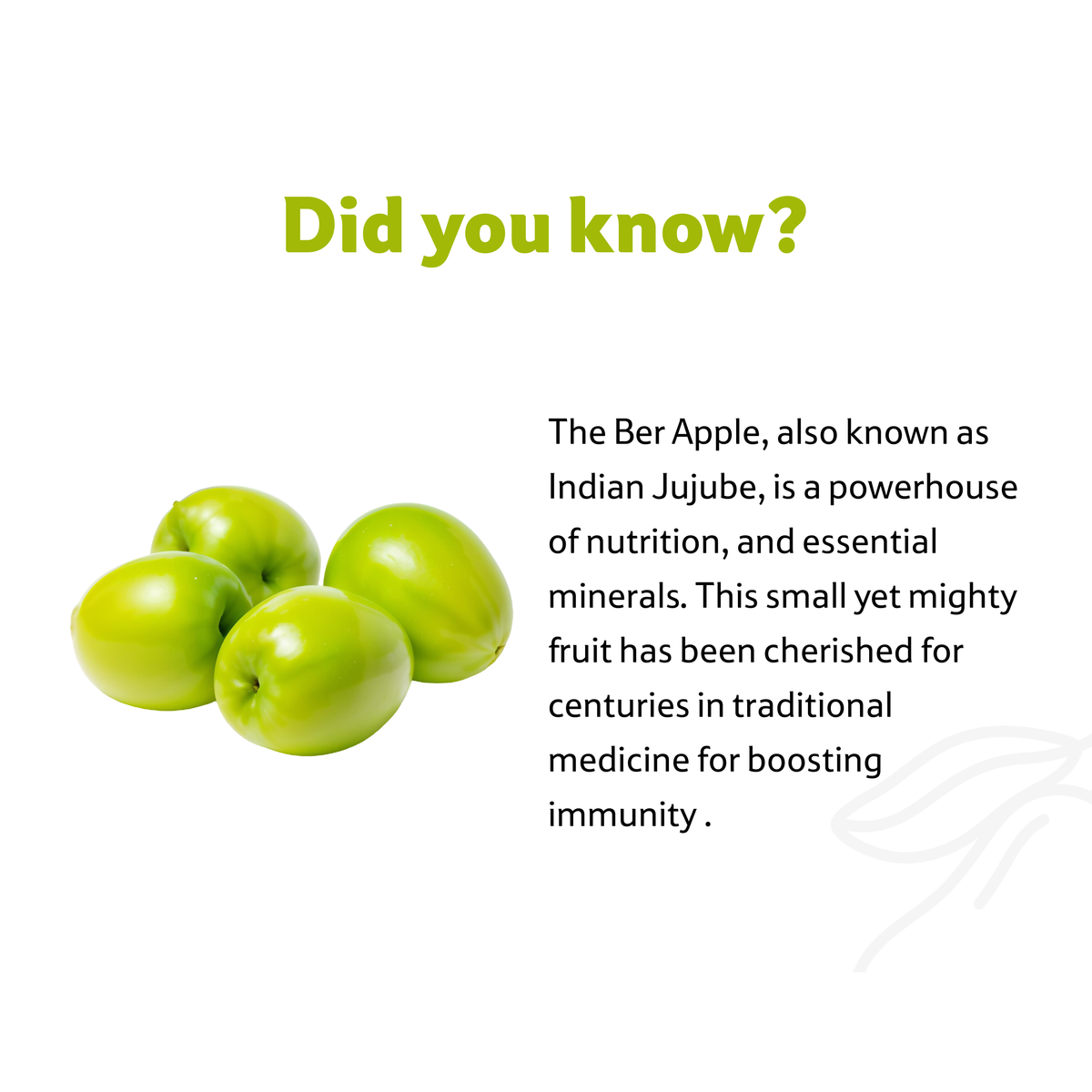 Ber Apple, 1 Kg