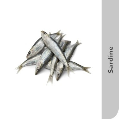 Starfresh Sea Water Sardines Cleaned 250 Gm
