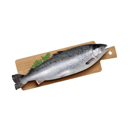 Sea Water Norwegian Salmon Slice Fresh, 250 g