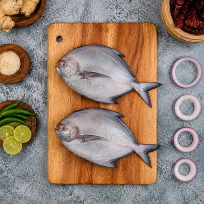 Sea Water Black Pomfret Cleaned, 3 To 4 Pcs 1 Kg