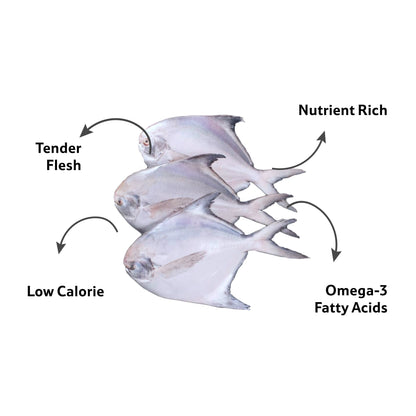 Sea Water Silver Pomfret Cleaned, 4 To 5 Pcs 1 Kg