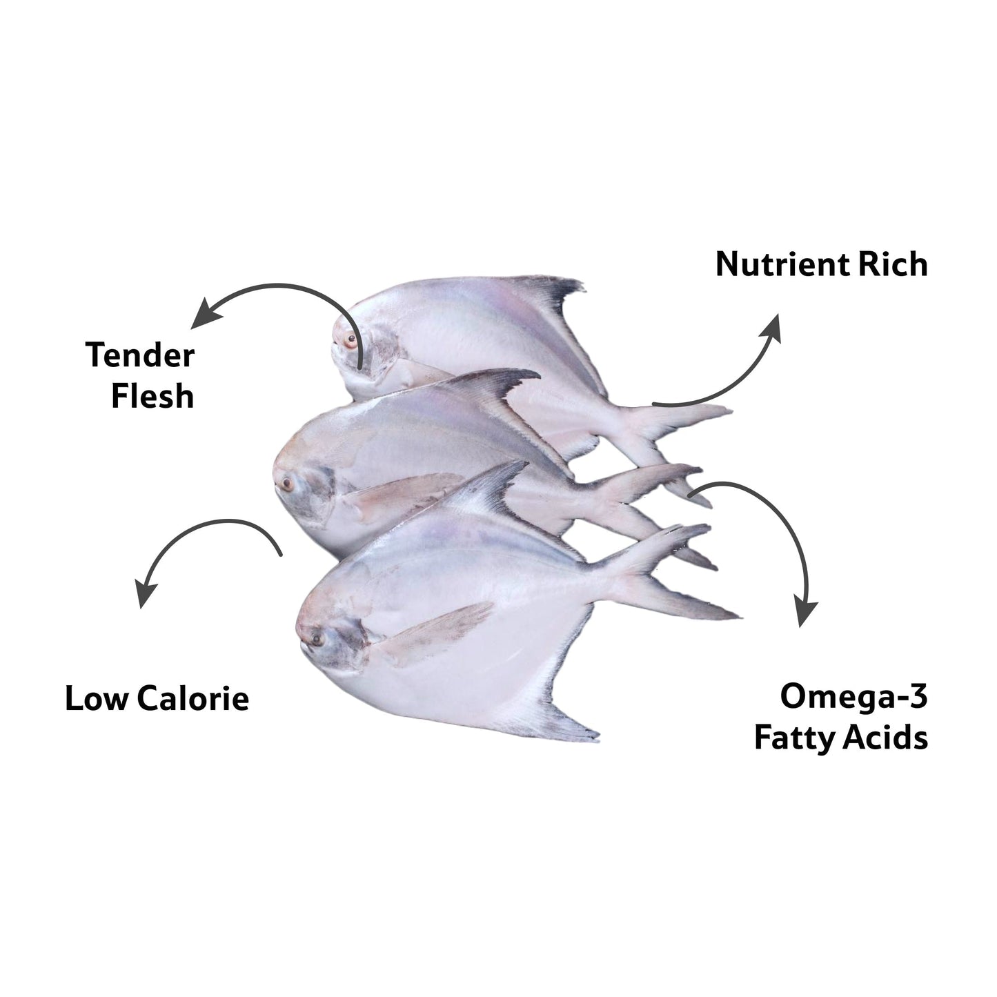 Sea Water Silver Pomfret Cleaned, 4 To 5 Pcs 1 Kg