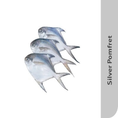 Starfresh Sea Water Silver Pomfret Cleaned 1 Kg (4 To 5 Pcs)