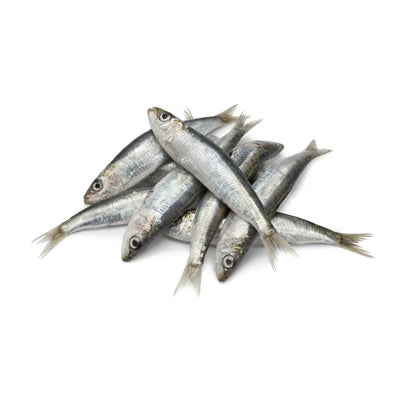 Sea Water Sardines Gross, 250 g