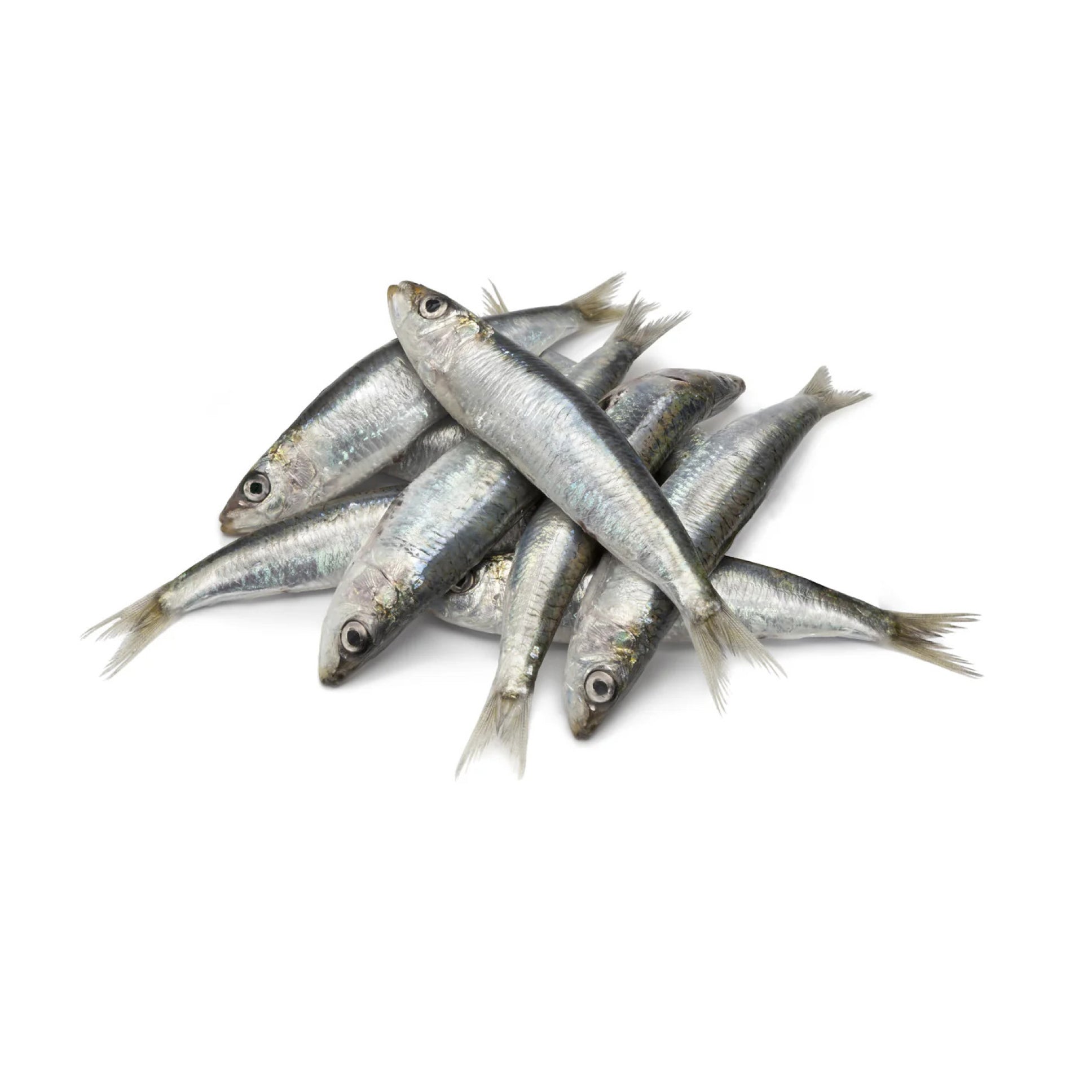 Starfresh Sea Water Sardines Gross 250 g – Starquik
