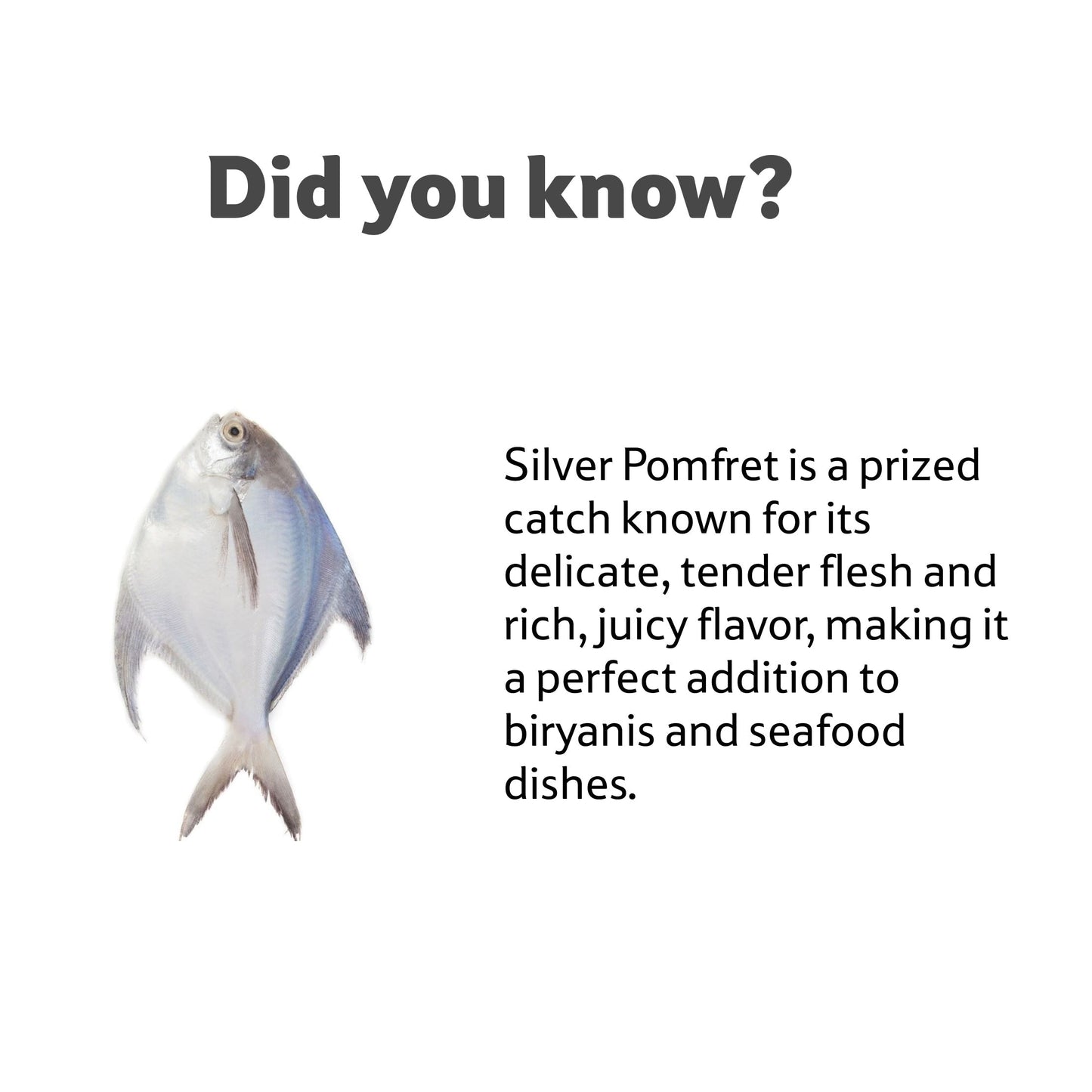 Sea Water Silver Pomfret Cleaned, 4-5 Pcs/Kg Gross 1.05 Kg, Cleaned 1 Kg