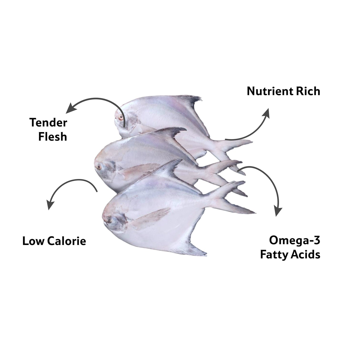 Sea Water Silver Pomfret Cleaned, 4-5 Pcs/Kg Gross 1.05 Kg, Cleaned 1 Kg