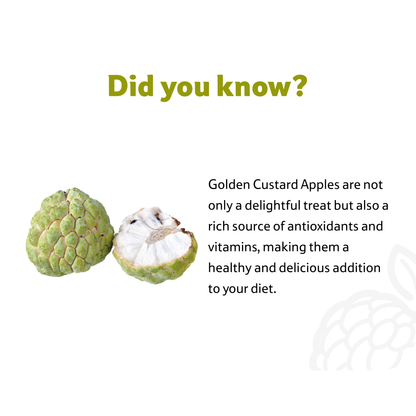 Starfresh Golden Custard Apple ~ 500 gm