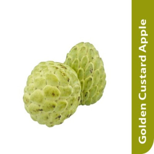Starfresh Golden Custard Apple About 1 Kg
