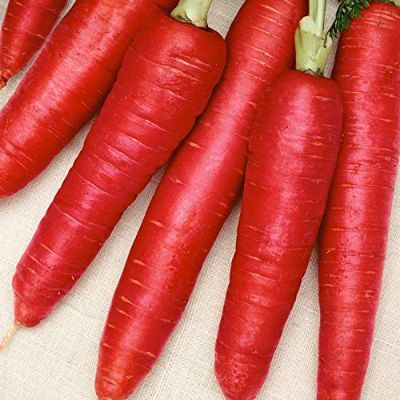 Starfresh Red Carrot Prepack ~ 400 g