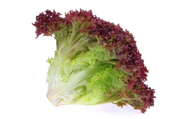 Starfresh Red Lettuce Prepack 150 gm