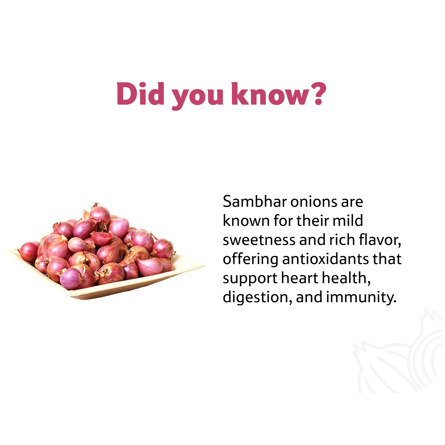 Starfresh Onion Sambar ~ 250 g