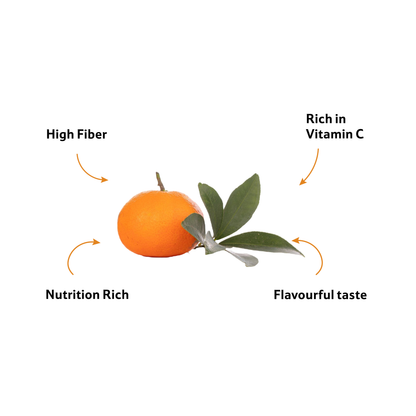 Orange Mandarin Imported, Prepack 500 g