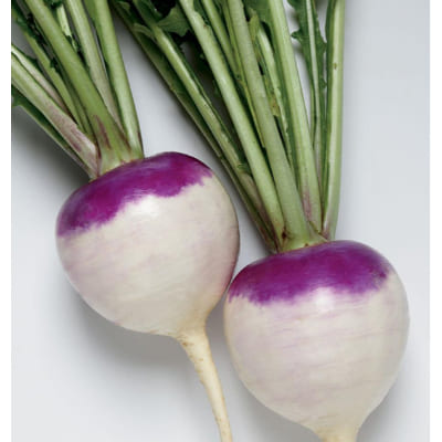 Shalajam Turnip, 250 g