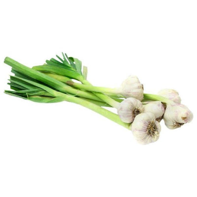 Starfresh Spring Garlic 1 bunch