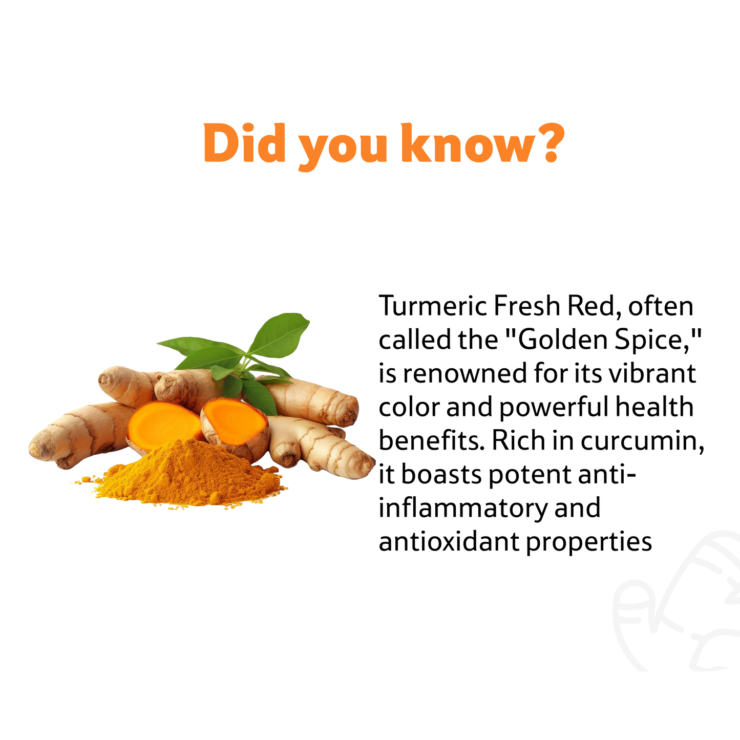 Starfresh Turmeric Fresh Red ~ 100 gm