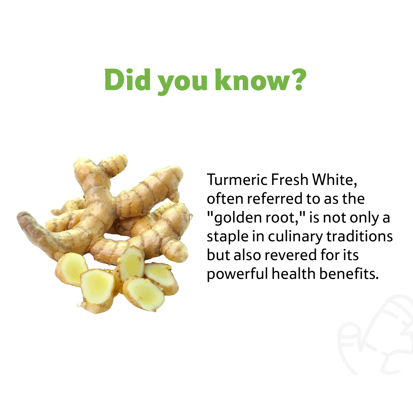 Starfresh Turmeric Fresh White ~ 250 gm