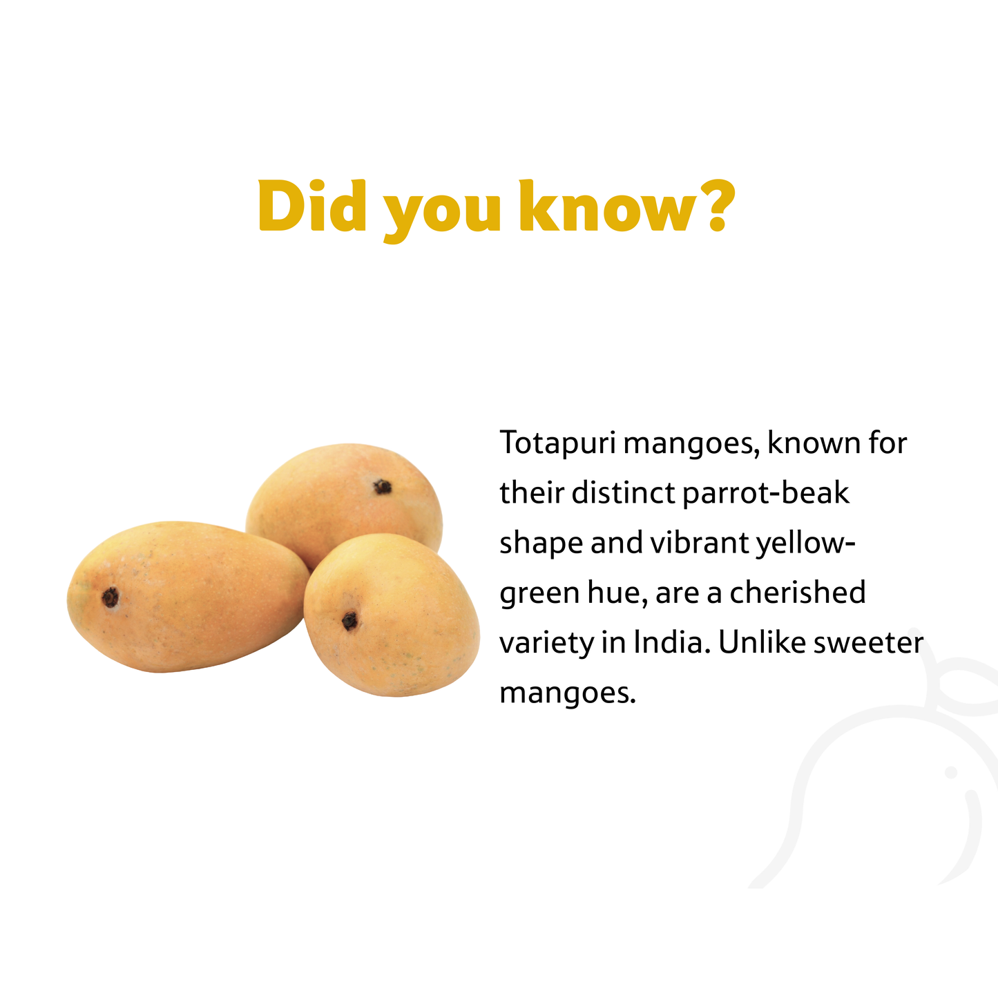 Mango Totapuri, 2 Kg