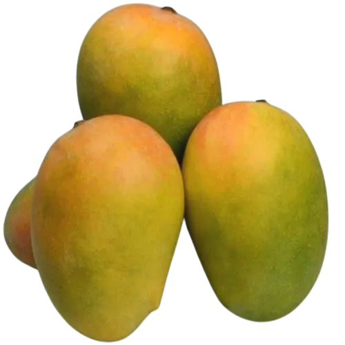 Starfresh Mango Kesar ~ 500 g