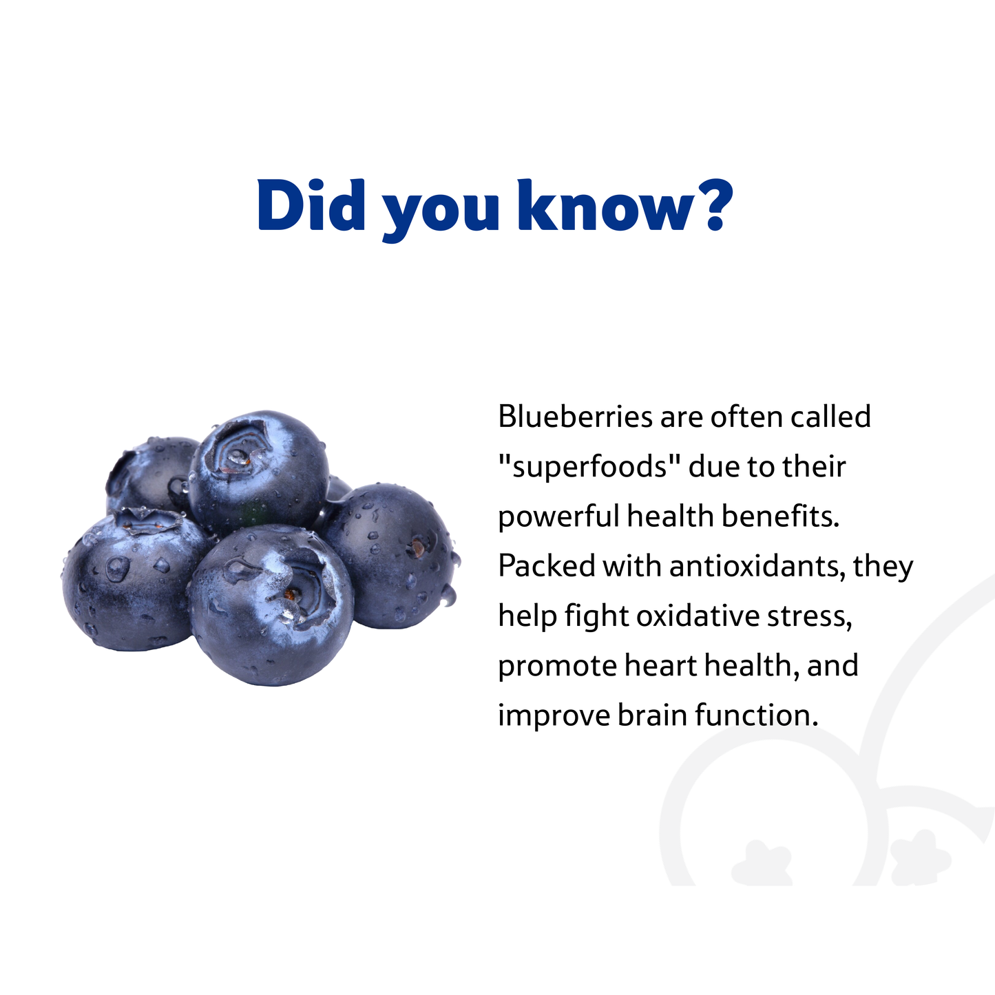 Starfresh Blueberry ~ 125 g