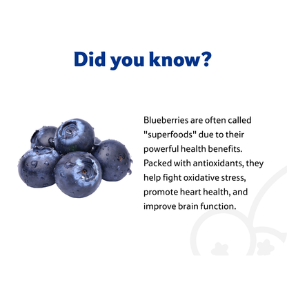 Starfresh Blueberry ~ 125 g