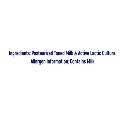 Milky Mist Curd Cup 400 g