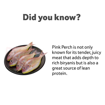 Starfresh Sea Water Fresh Pink Perch Cleaned  gmross 625 gm net 500 gm