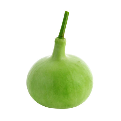 Starfresh Bottle Guard(Lauki) ~ 550 gm