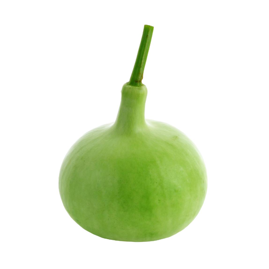 Starfresh Bottle Guard(Lauki) ~ 550 g