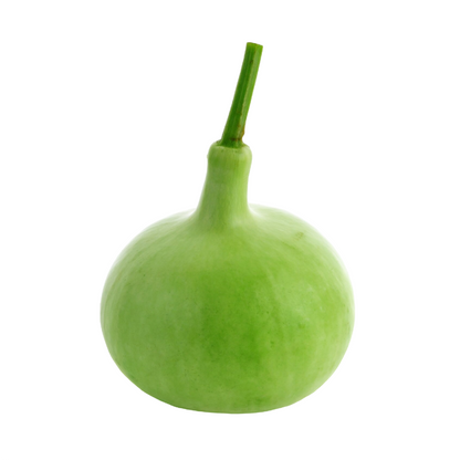 Starfresh Bottle Guard(Lauki) ~ 1.15 kg