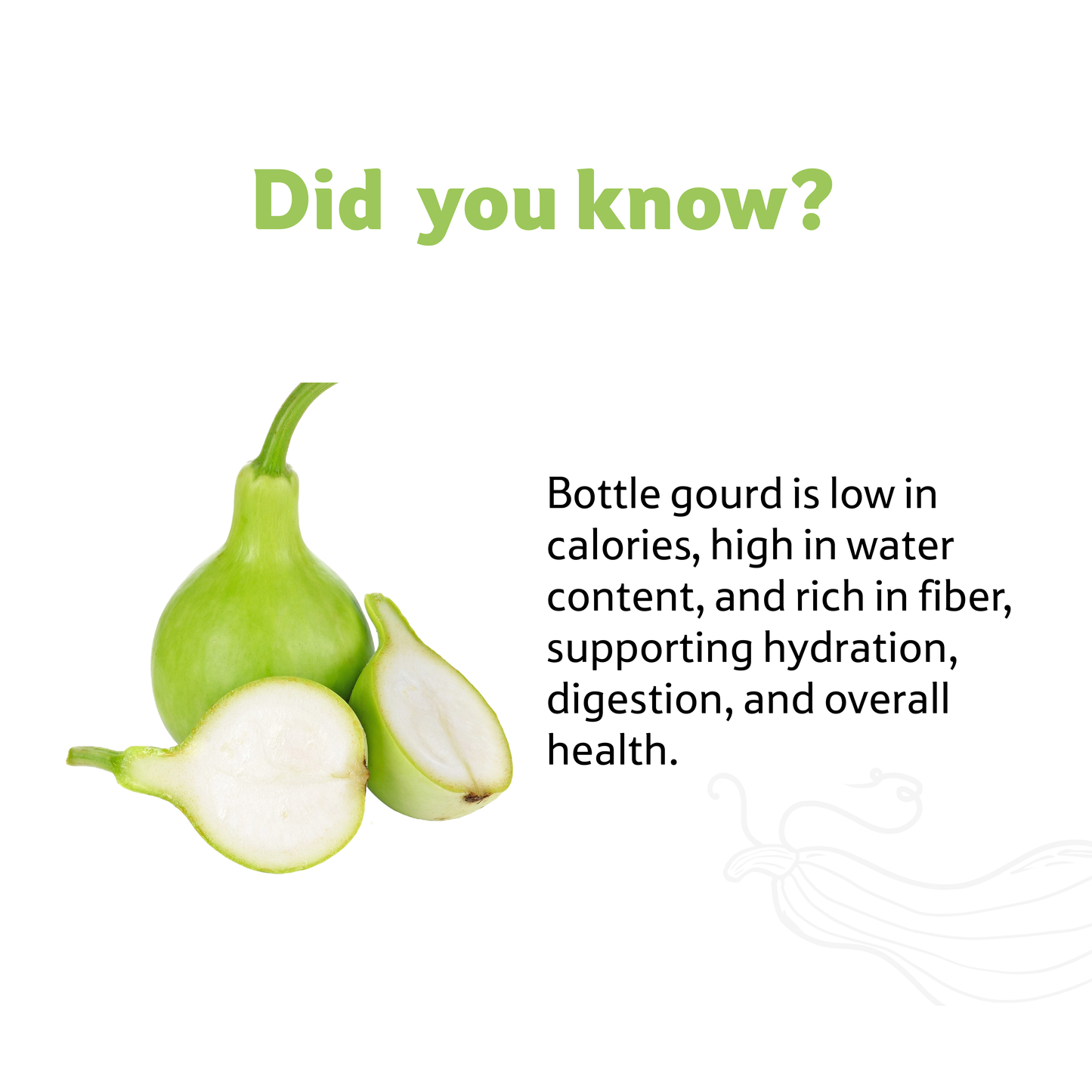 Starfresh Bottle Guard(Lauki) ~ 1.15 Kg