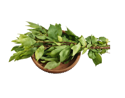 Gongura Leaves, Prepack 1 Bunch