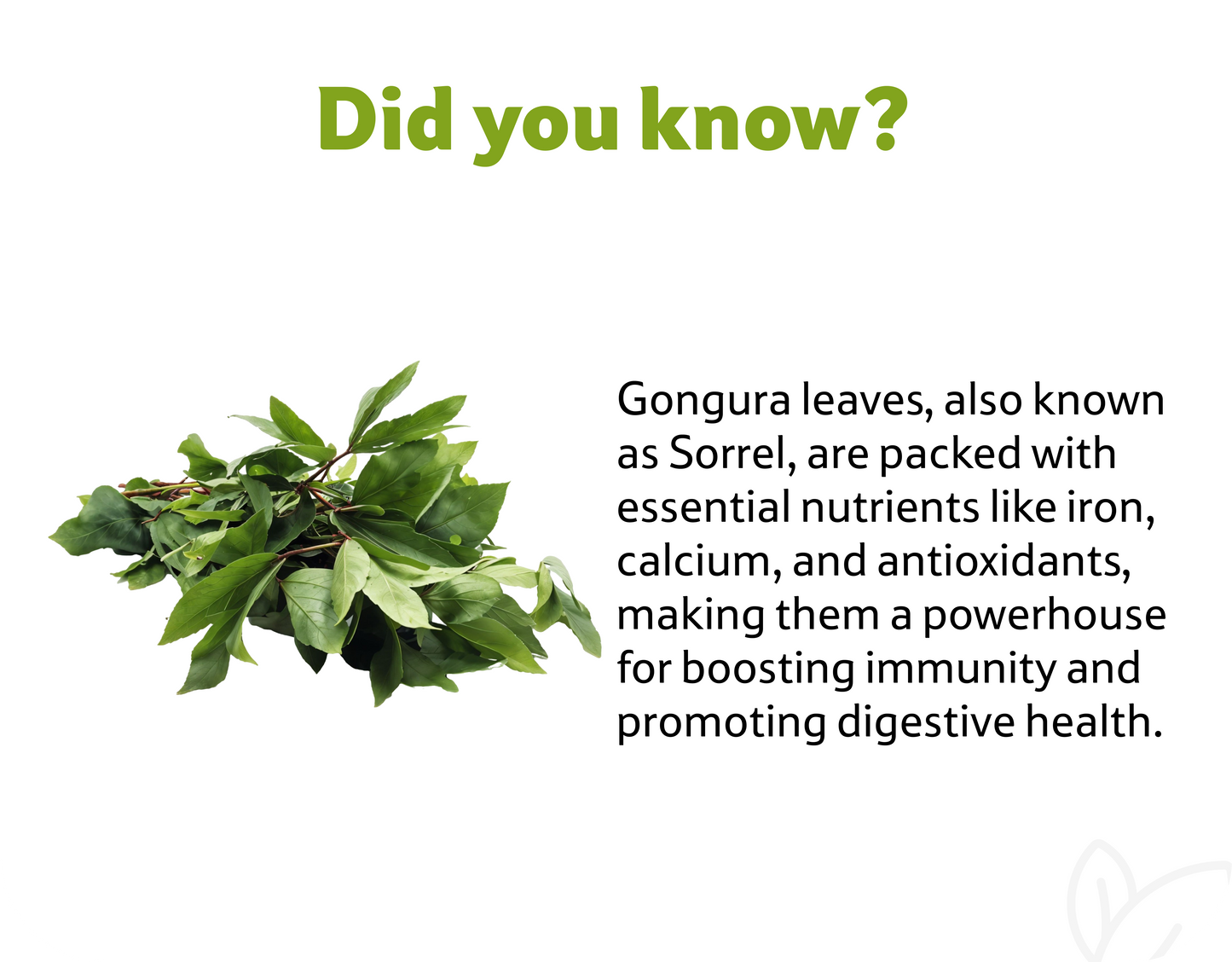 Gongura Leaves, Prepack 1 Bunch