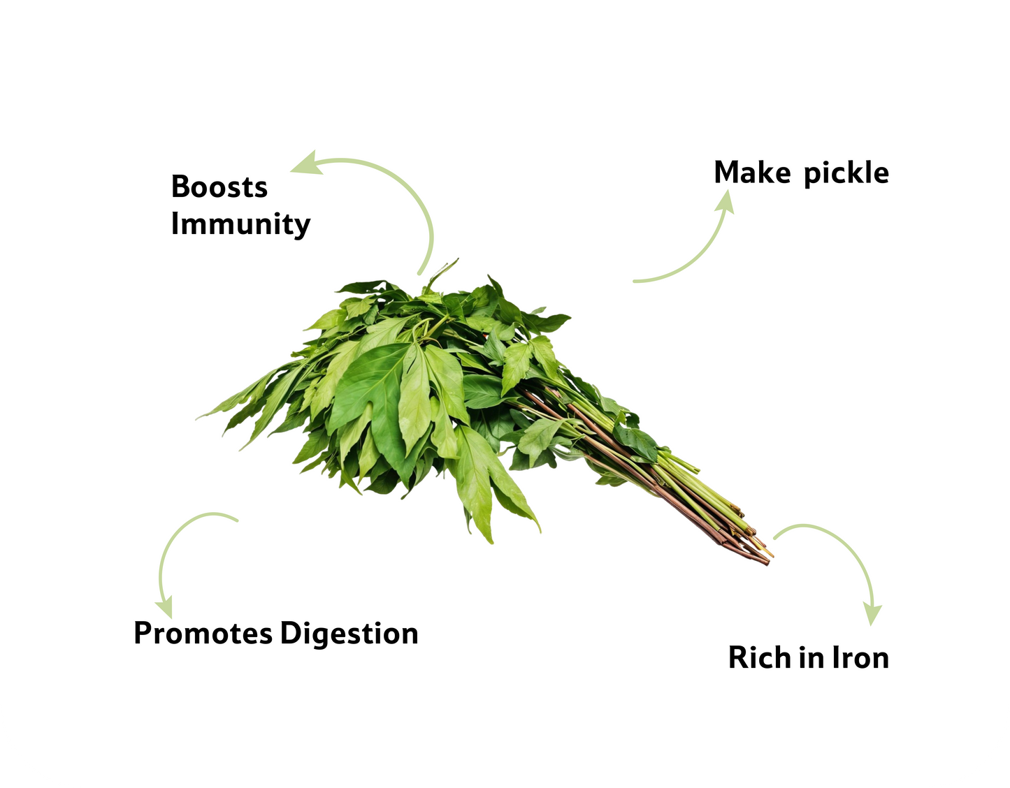 Gongura Leaves, Prepack 1 Bunch