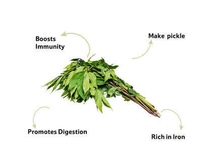 Gongura Leaves, Prepack 1 Bunch