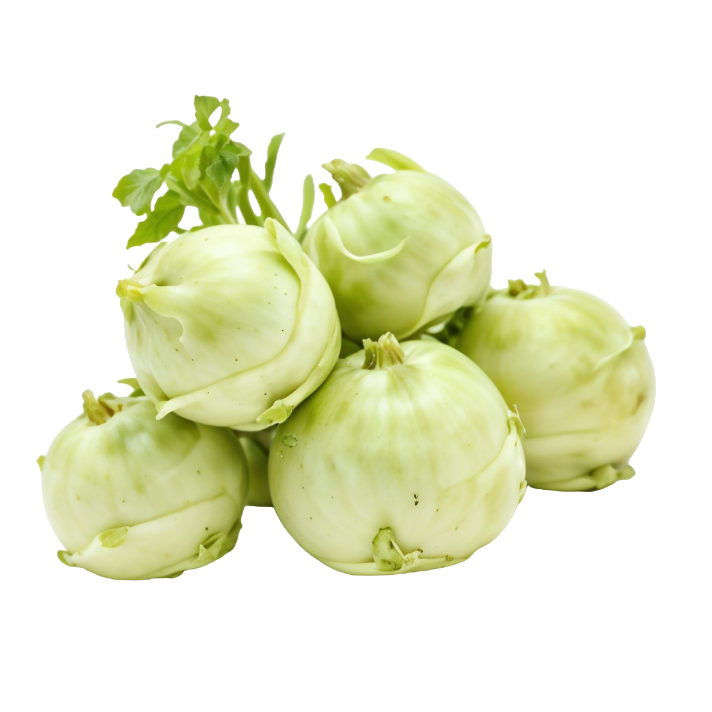 Starfresh Knol Knol ~ 1Kg