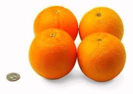 Orange Valencia, ~ 700–800 g