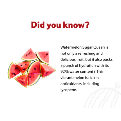 Starfresh Watermelon Sugar Queen ~ 2-2.5 kg