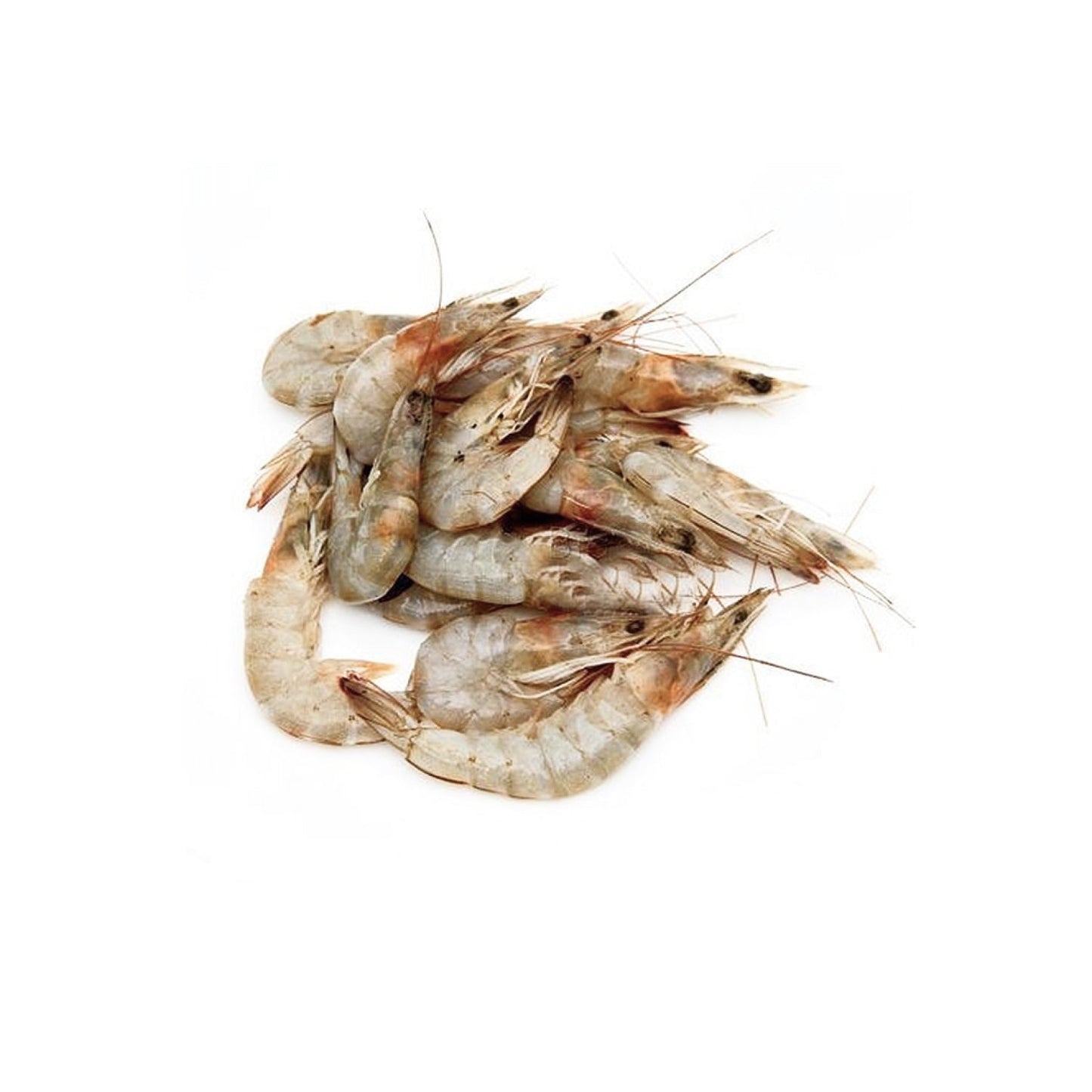 Sea Water White Prawn Peeled 25 Count, Gross 500 g, Net 250 g