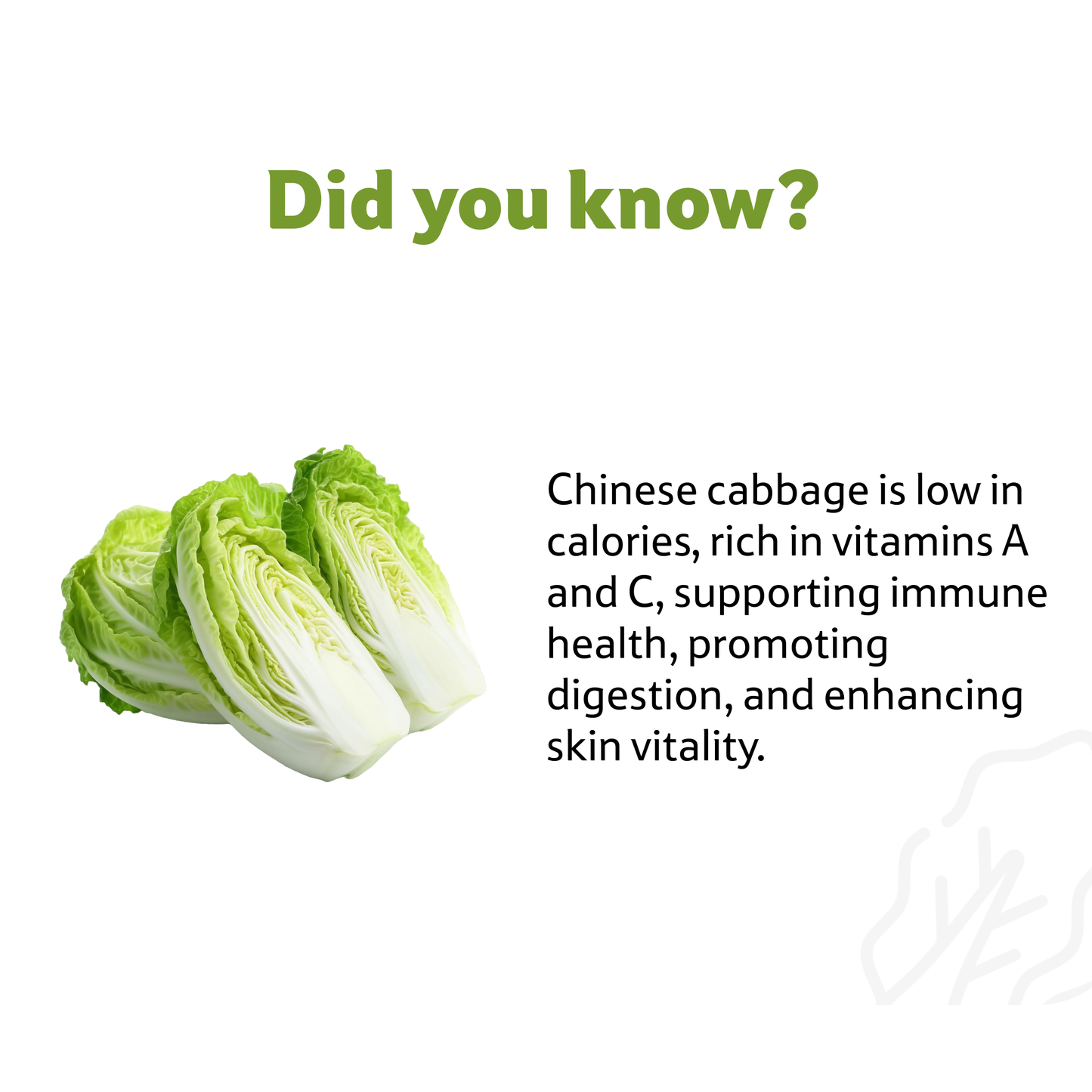 Chinese Cabbage, Prepack 800 g