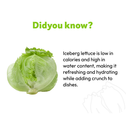 Lettuce Iceberg, 800 g