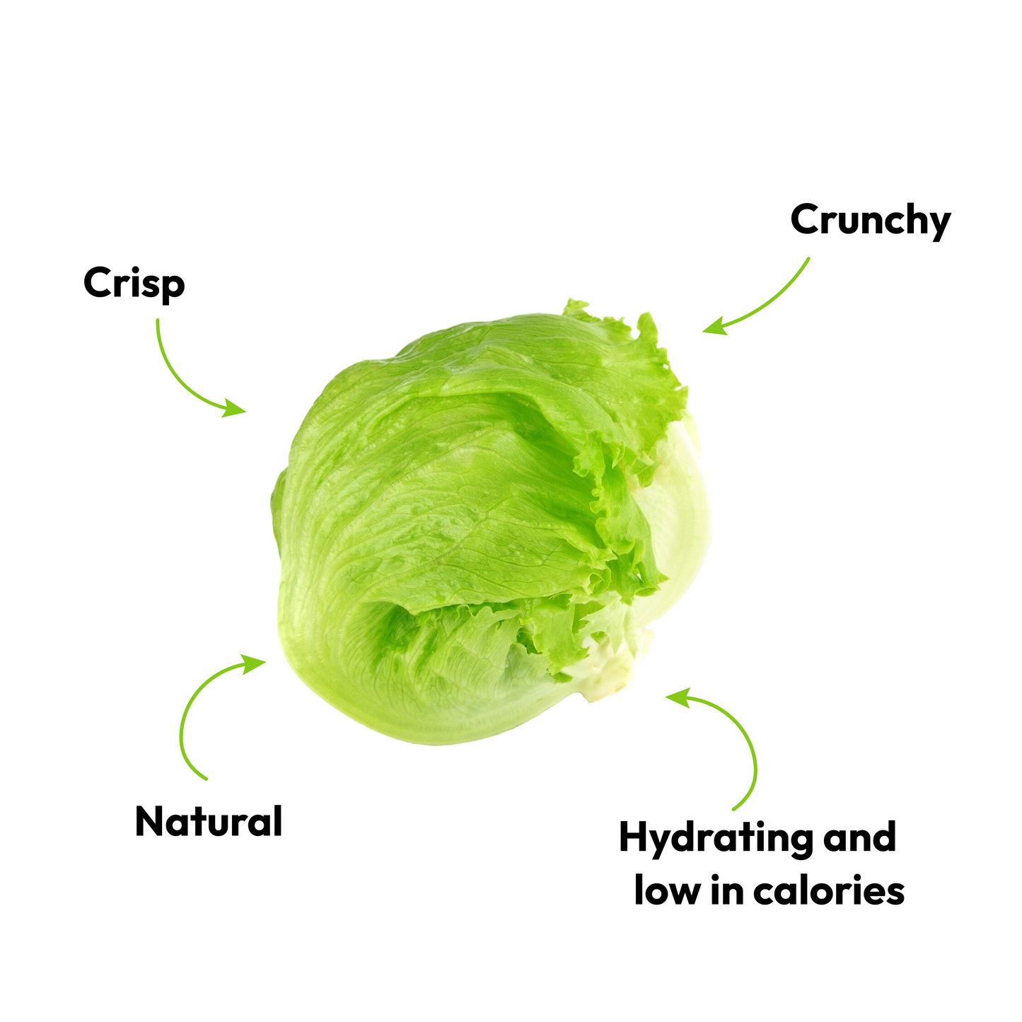Lettuce Iceberg, 800 g