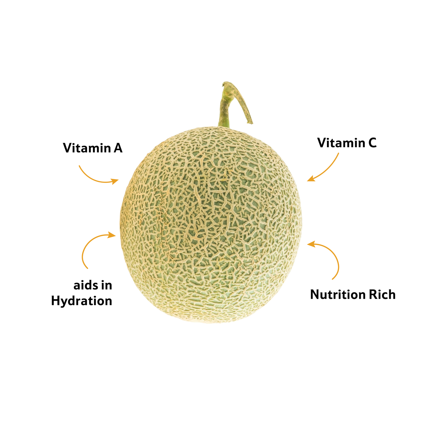 Muskmelon Kundan, ~ 750 g–1 Kg