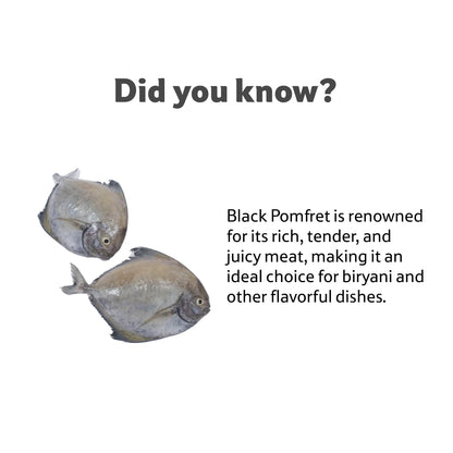 Starfresh Sea Water Black Pomfret Cleaned 1 kg ( 1 to 2 pcs)