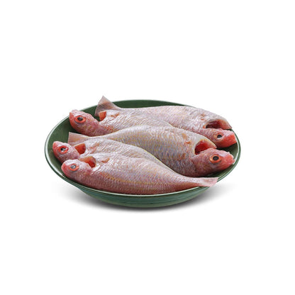 Sea Water Fresh Pink Perch Cleaned Gross, 750 g, Net 500 g