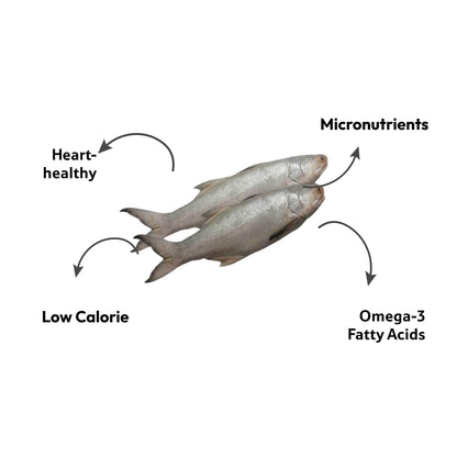 Sea Water Indian Salmon Ravas Small Fillet, Gross 1 Kg, Fillet 500 g