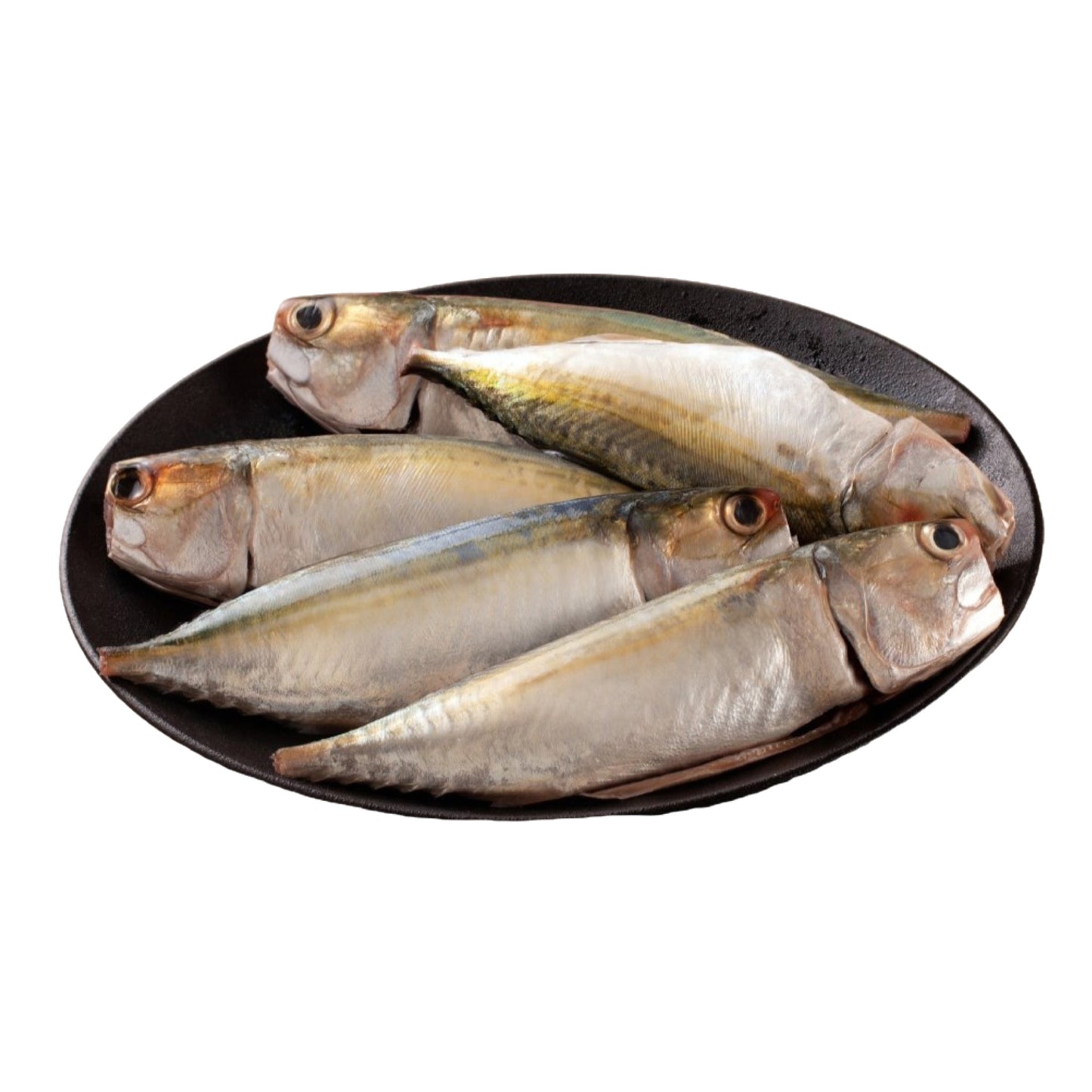 Sea Water Mackeral BangdaBig Cleaned, Gross 1.5 Kg, Net 1.3 Kg
