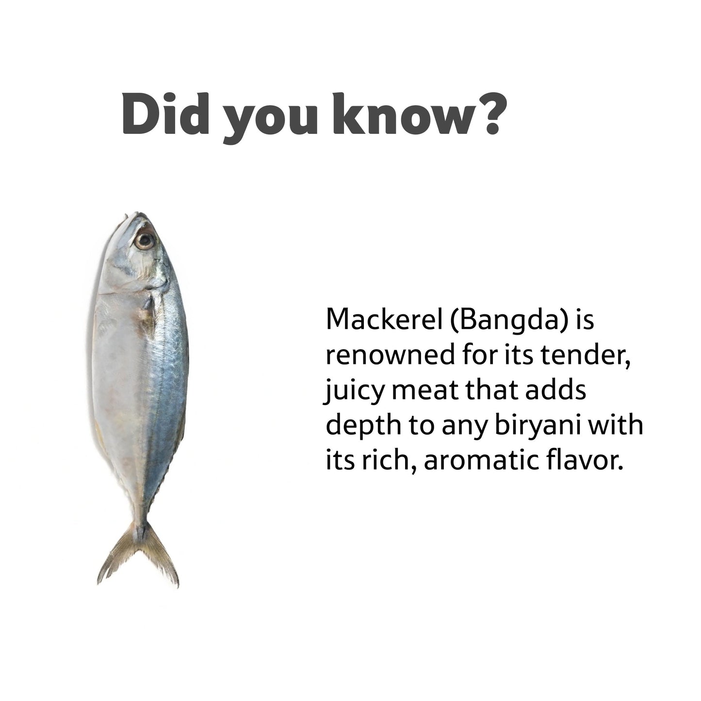 Sea Water Mackeral BangdaBig Cleaned, Gross 1.5 Kg, Net 1.3 Kg